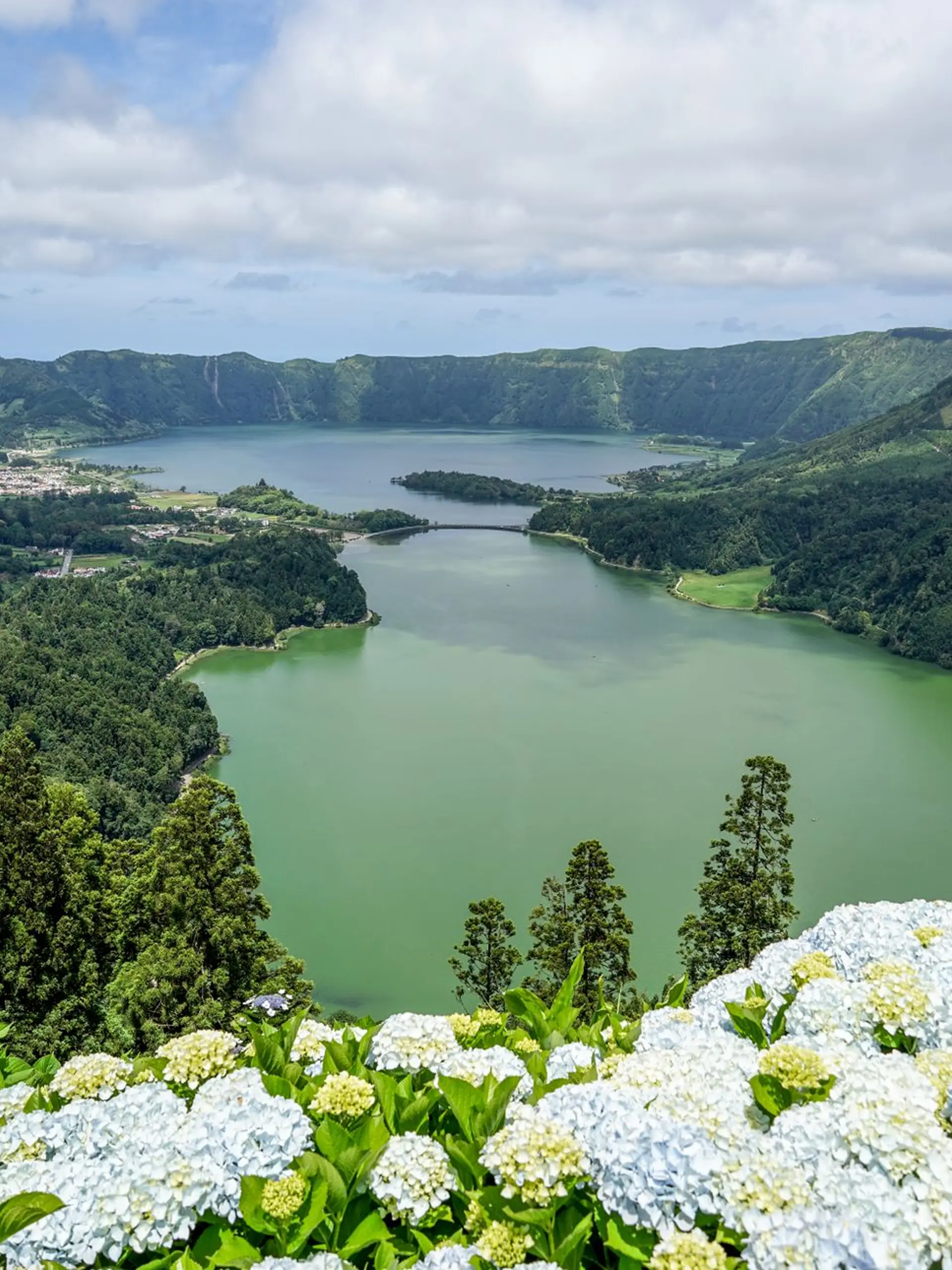 Visita à Viveiros e Rego